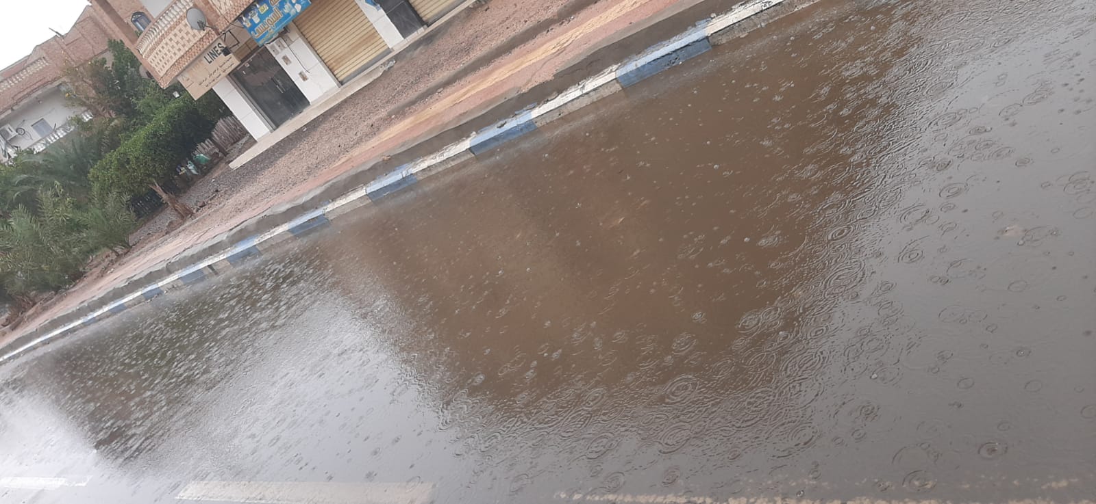 شوارع،غارب صباحا