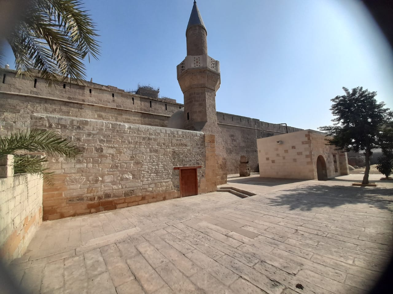 WhatsApp Image 2026-03-22 at 1.03.25 PM