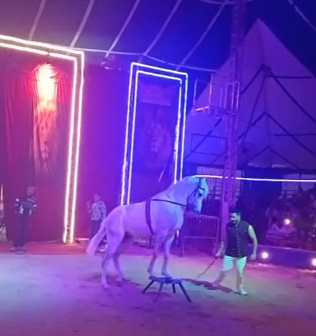 8f2af6f8-2419-4a04-b5f7-4ab166b3e8a8