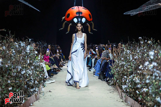 إقبال كبير على العروض المختلفة