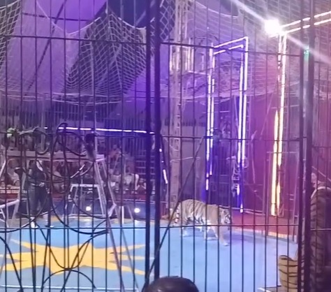 16e0d5c3-7bc6-46a5-9dcc-592a54d59ff4