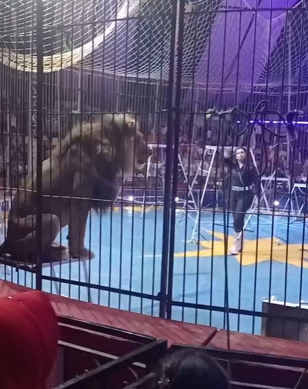 cc49262c-a757-4dbf-966d-ab6e8d5e0dc5