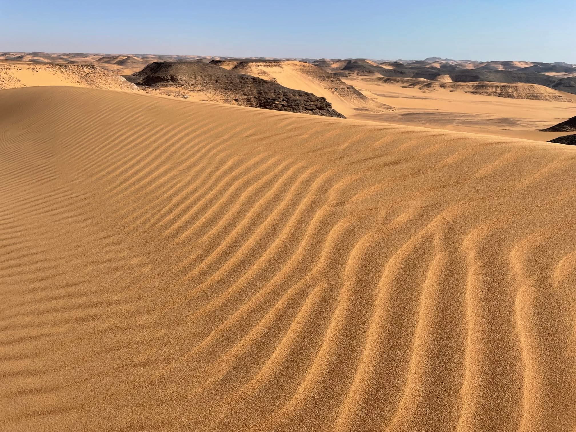 صحراء الجنوب