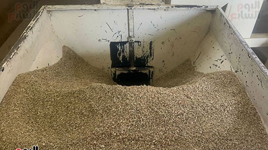 فرز-المحاصيل