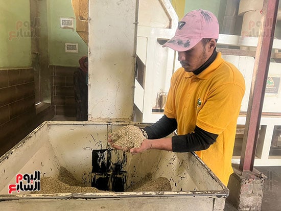 مراحل-التعبئة