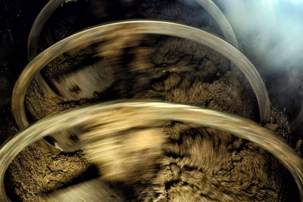 اليوم العالمى للزيتون (14)