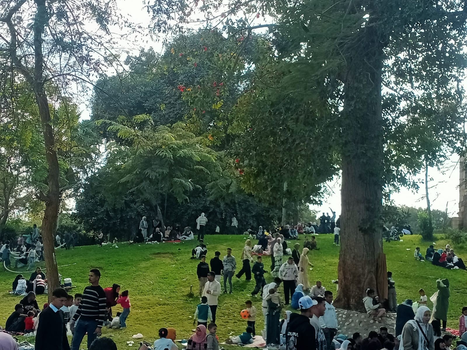 حدائق القناطر