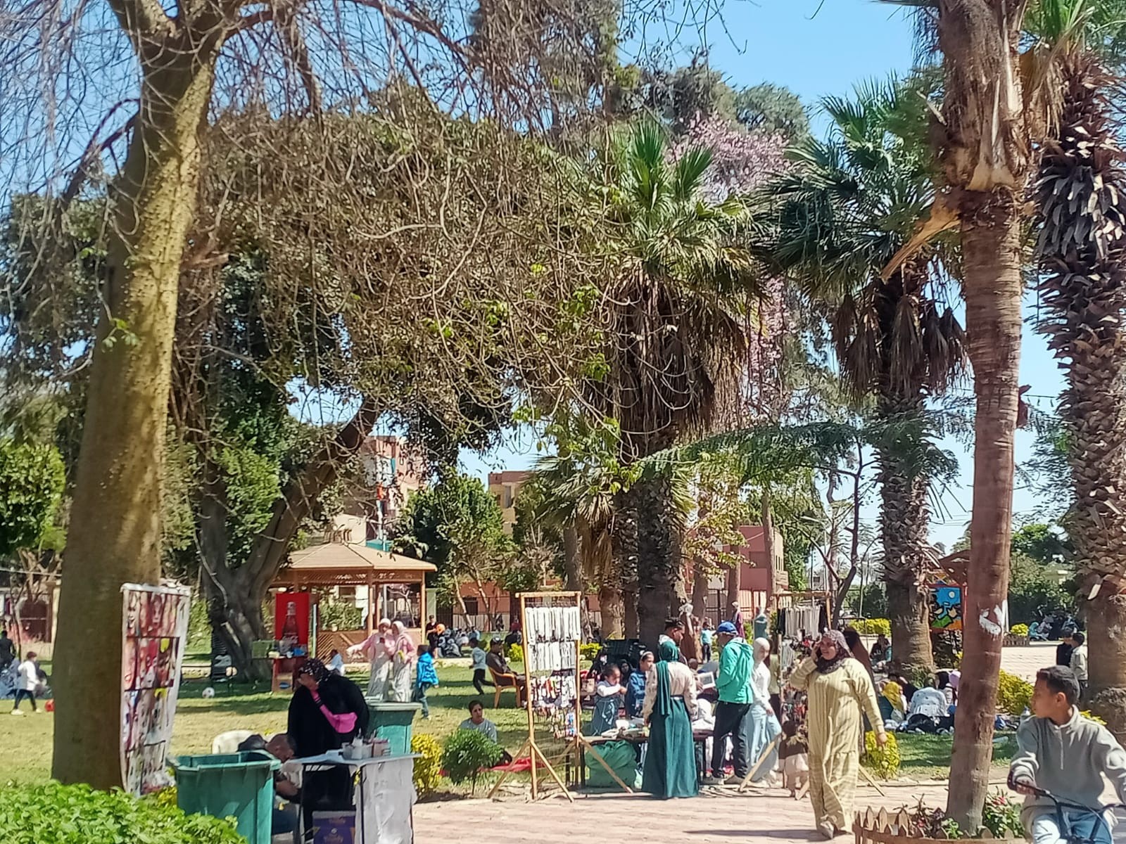 داخل الحدائق