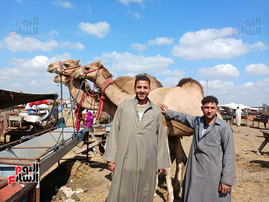 محمد-قطب-تاجر-جمال-بالشرقية