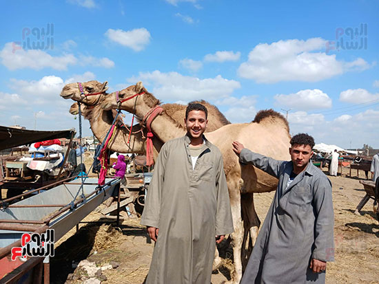 محمد-قطب-تاجر-جمال