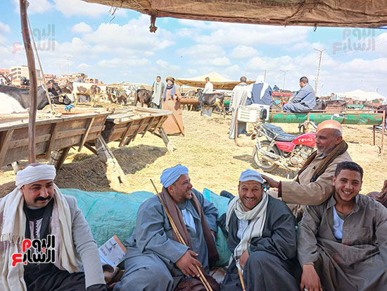 تجار-الجمال-بالشرقية