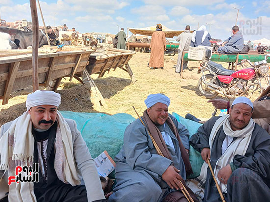 تجار--الجمال