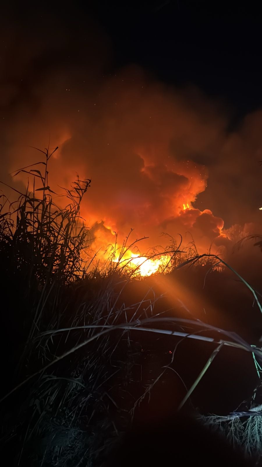 WhatsApp Image 2026-03-25 at 12.37.36 AM