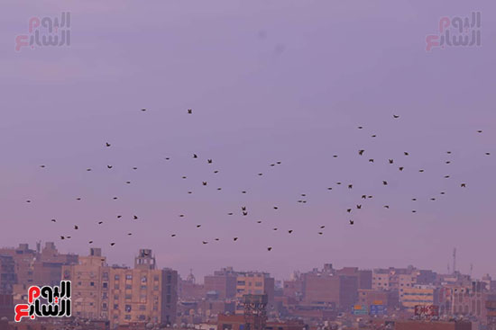 حالة الطقس فى الجيزة (32)