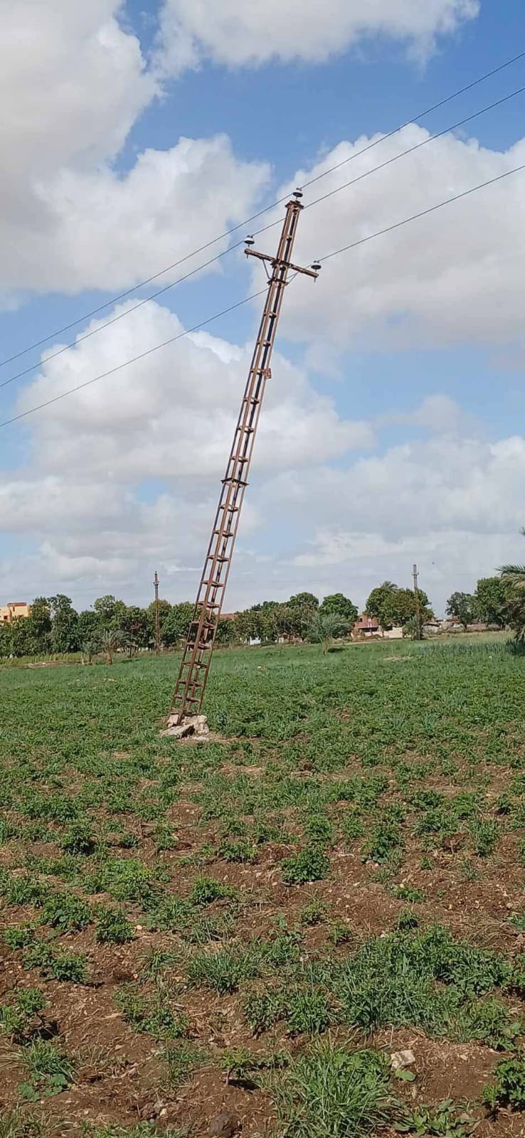 عمود الكهرباء بالفيوم 