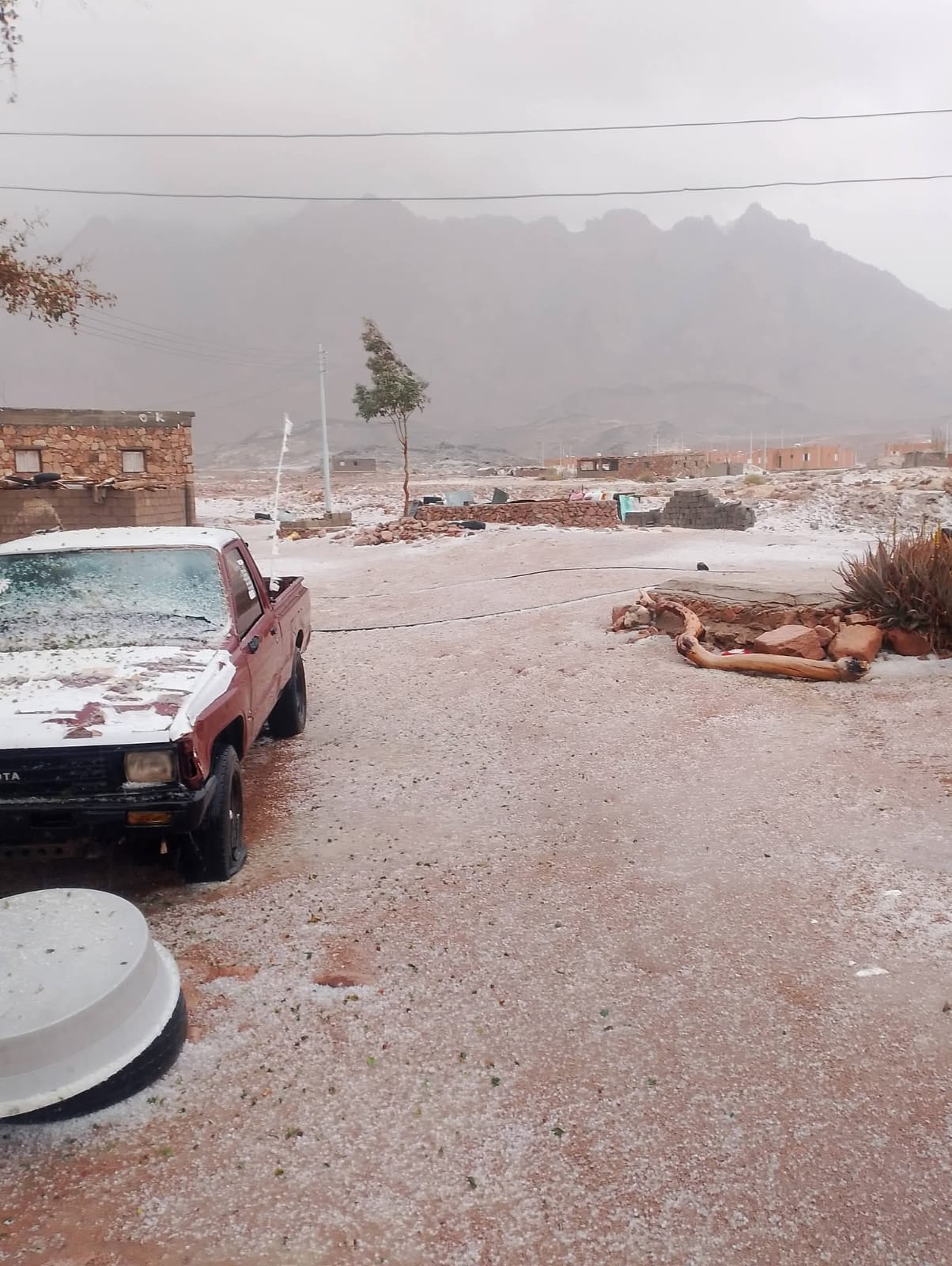 32c1cba5-cd23-4f71-9d5c-f4c051a5f7d0