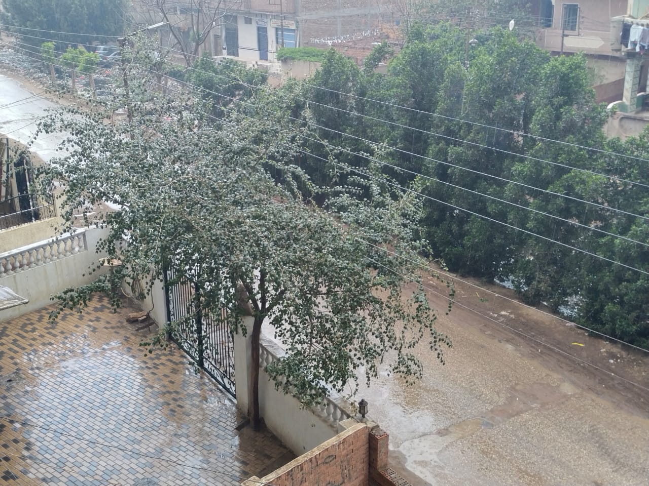 الأمطار تضرب المحافظة