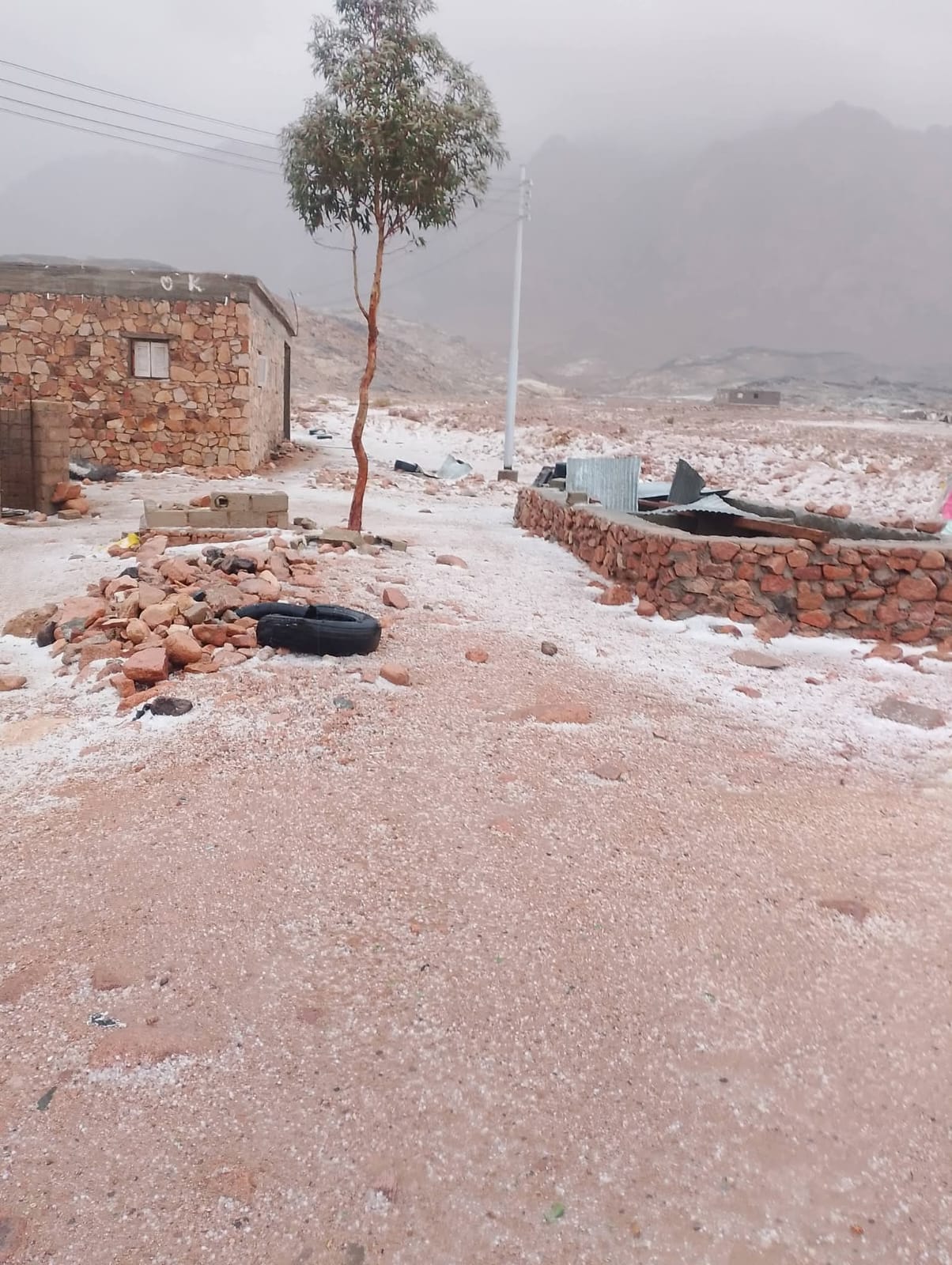 fedbc858-a080-43e6-8c5b-e41bf4b95ae8