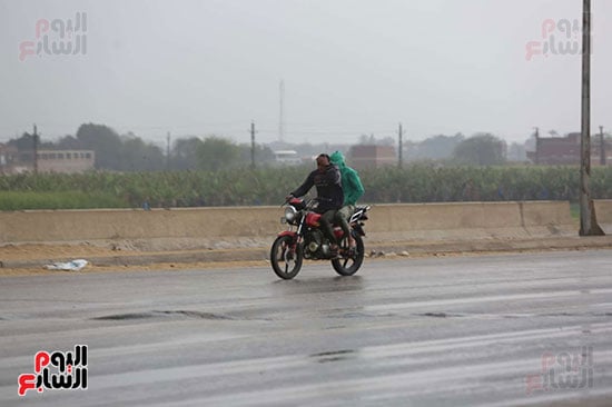 حالة الطقس (100)