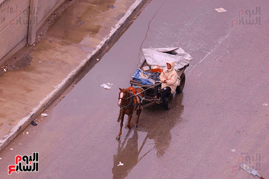 حالة الطقس فى الجيزة (4)