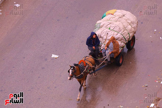 حالة الطقس فى الجيزة (1)