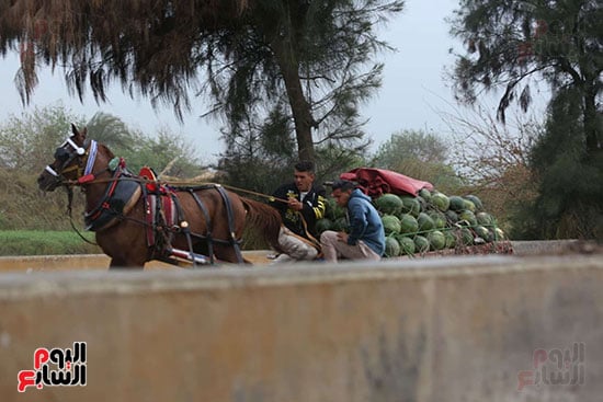 حالة الطقس (127)