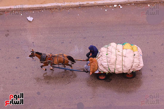 حالة الطقس فى الجيزة (3)