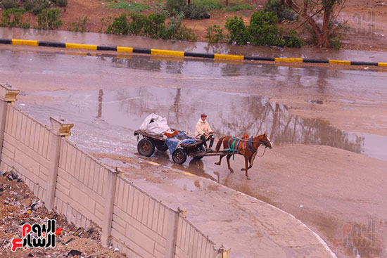 حالة الطقس فى الجيزة (17)