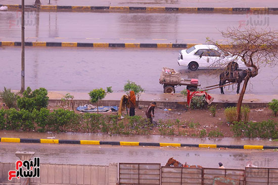 حالة الطقس فى الجيزة (29)