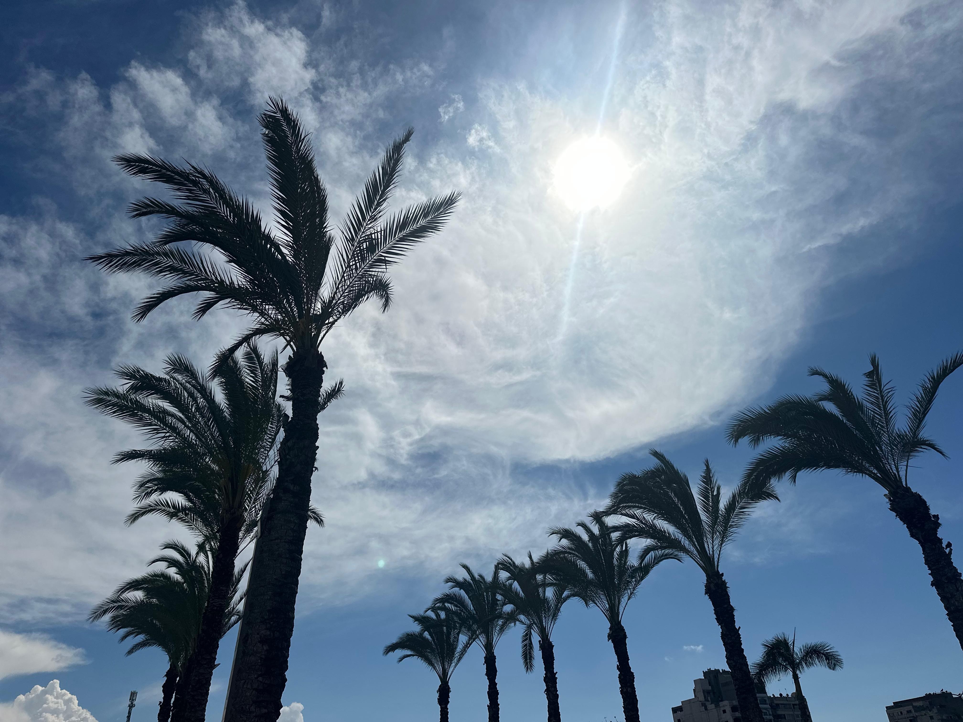 شمس لليوم الخميس شمس لليوم الخميس