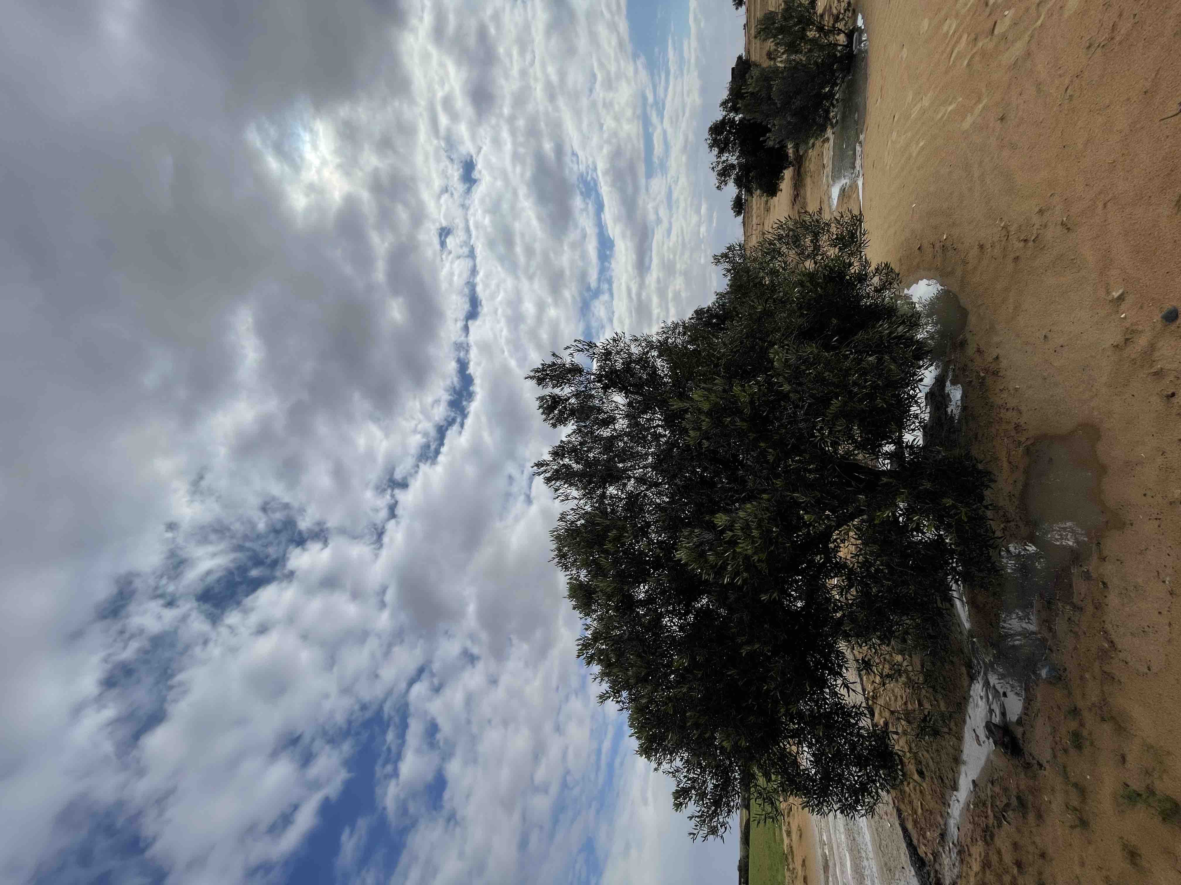 جنوب الشيخ زويد 