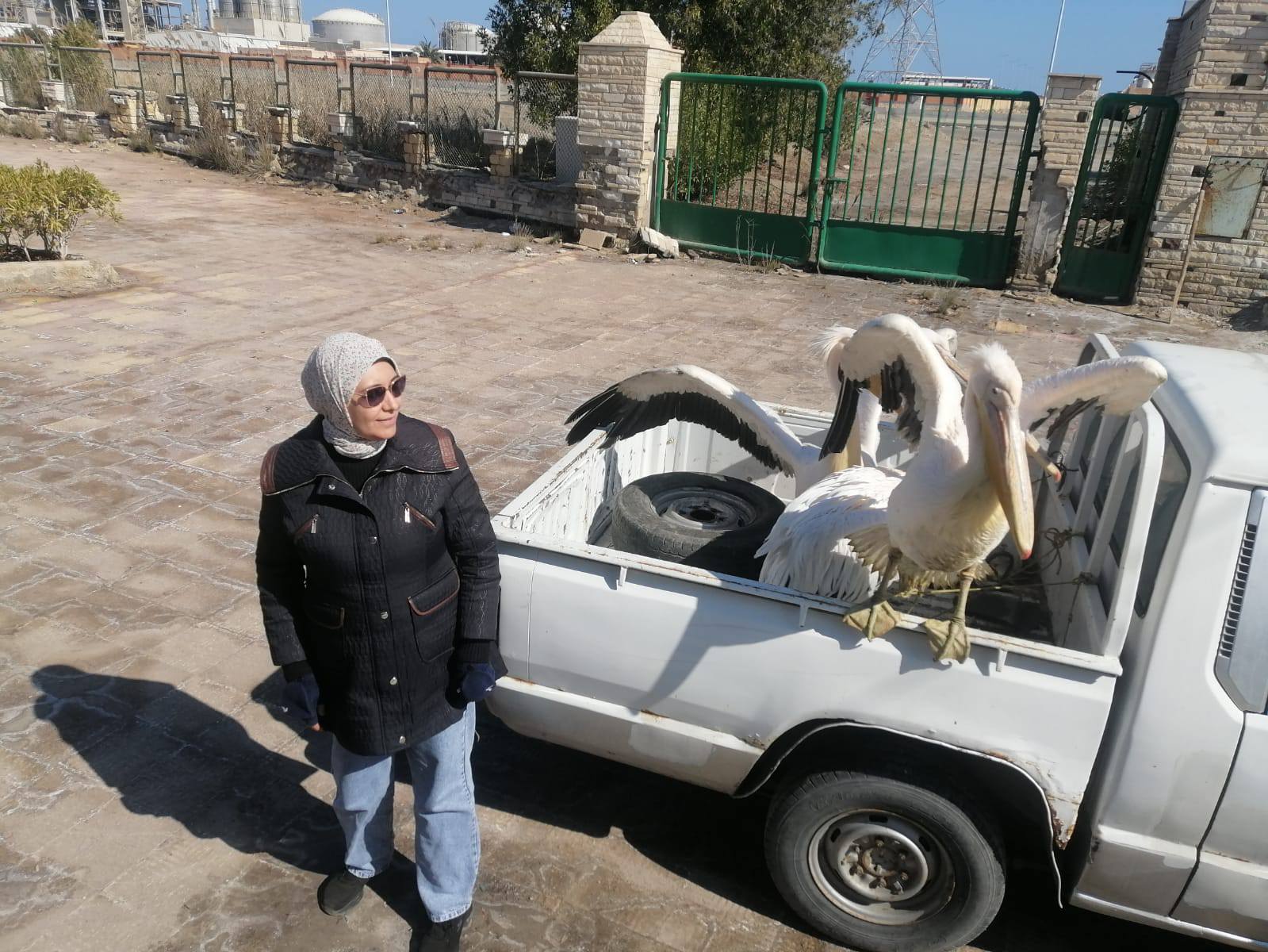 بعد عملية مصادرة البجع بعد عملية مصادرة البجع