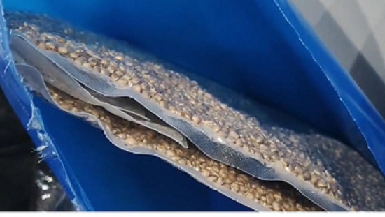 رجال الجمارك بمطار القاهرة ضبط الكمية من المخدرات (7)