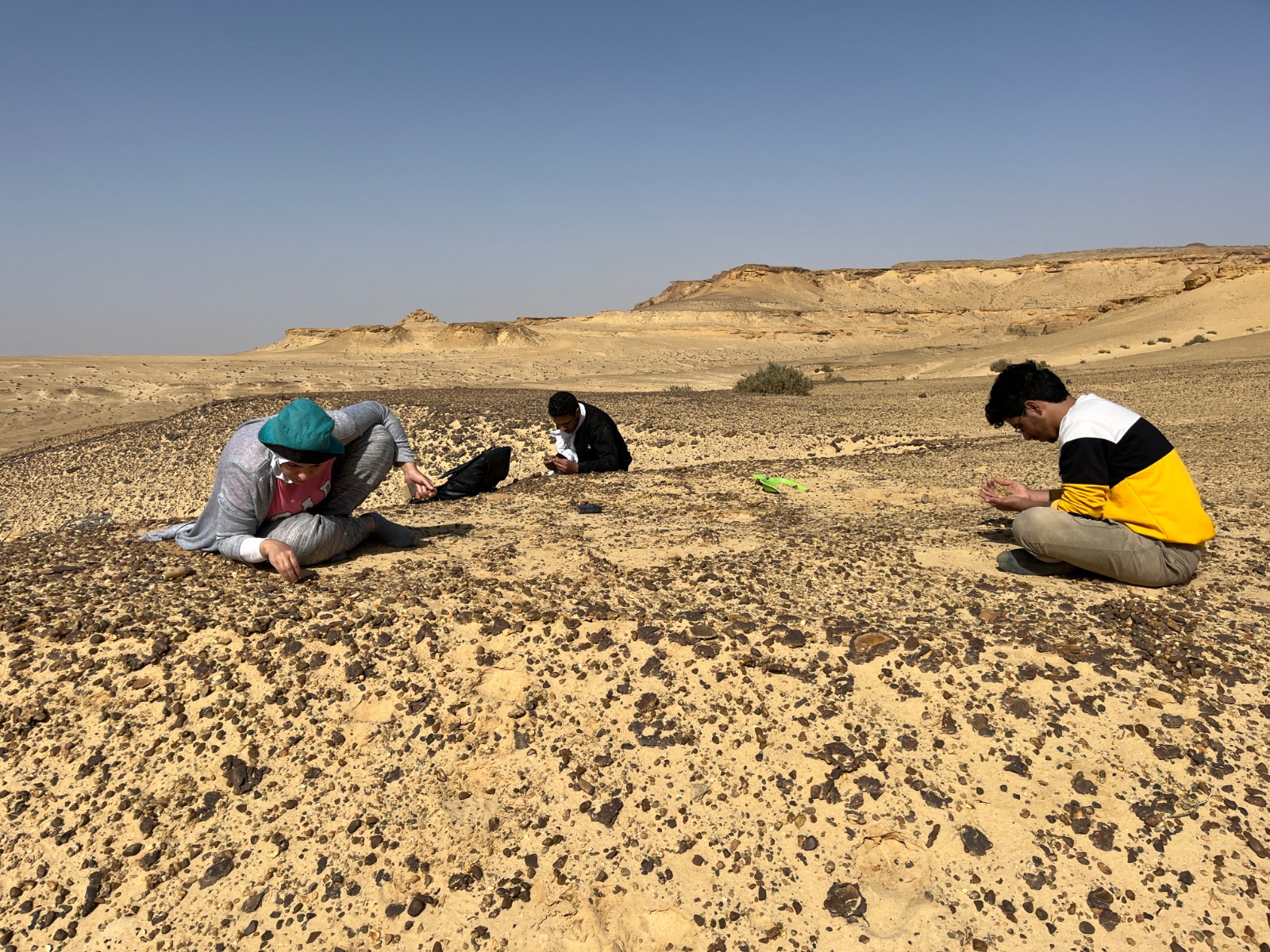 نوع جديد من أسلاف القردة العليا نوع جديد من أسلاف القردة العليا