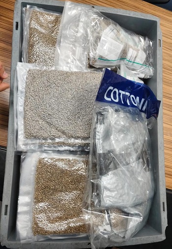 رجال الجمارك بمطار القاهرة ضبط الكمية من المخدرات (5)