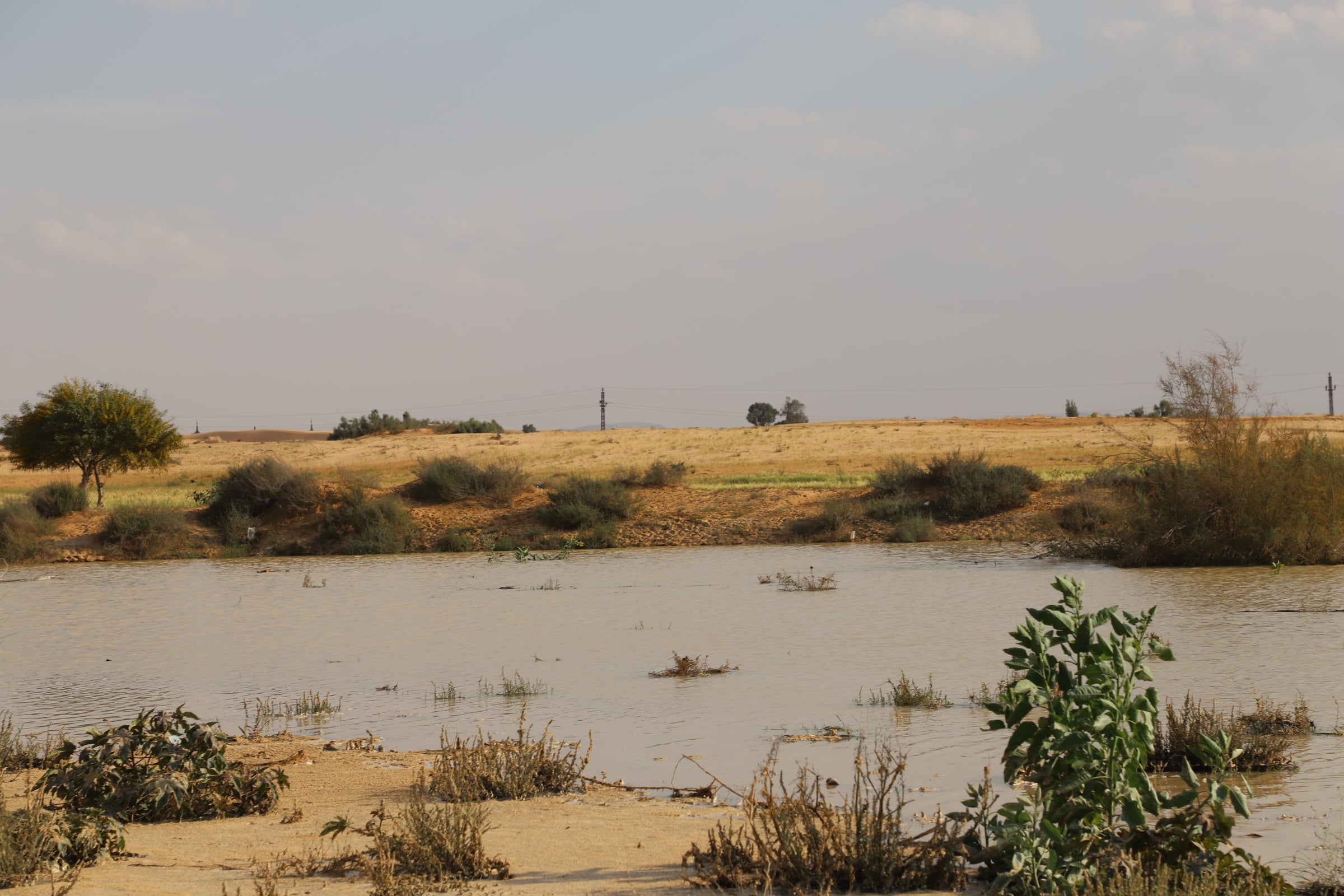 مشاهد من السيول 