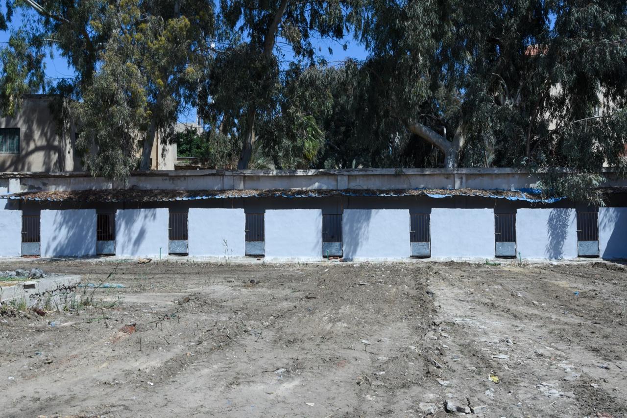 اول مأوى للكلاب