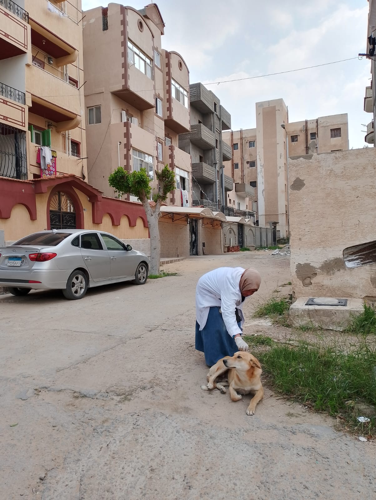 استمرار حملات التطعيم