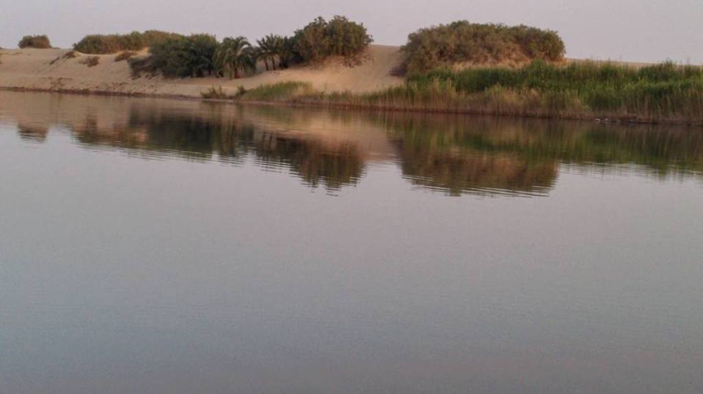 -احدى بحيرات الصرف الزراعي بسيوة