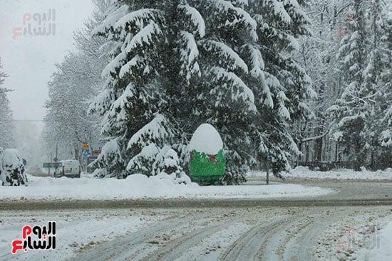 الثلوج تريم لوجة من الطبيعة الثلوج تريم لوجة من الطبيعة