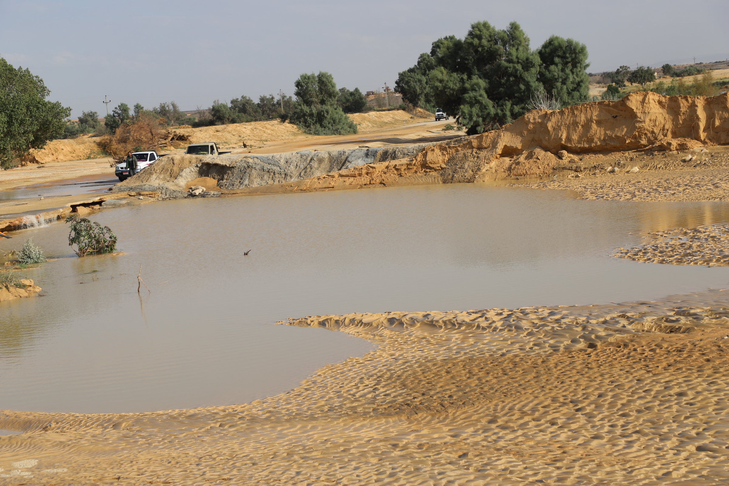 الاراضي الرملية تمتص مياه السيول .JPG الاراضي الرملية تمتص مياه السيول .JPG
