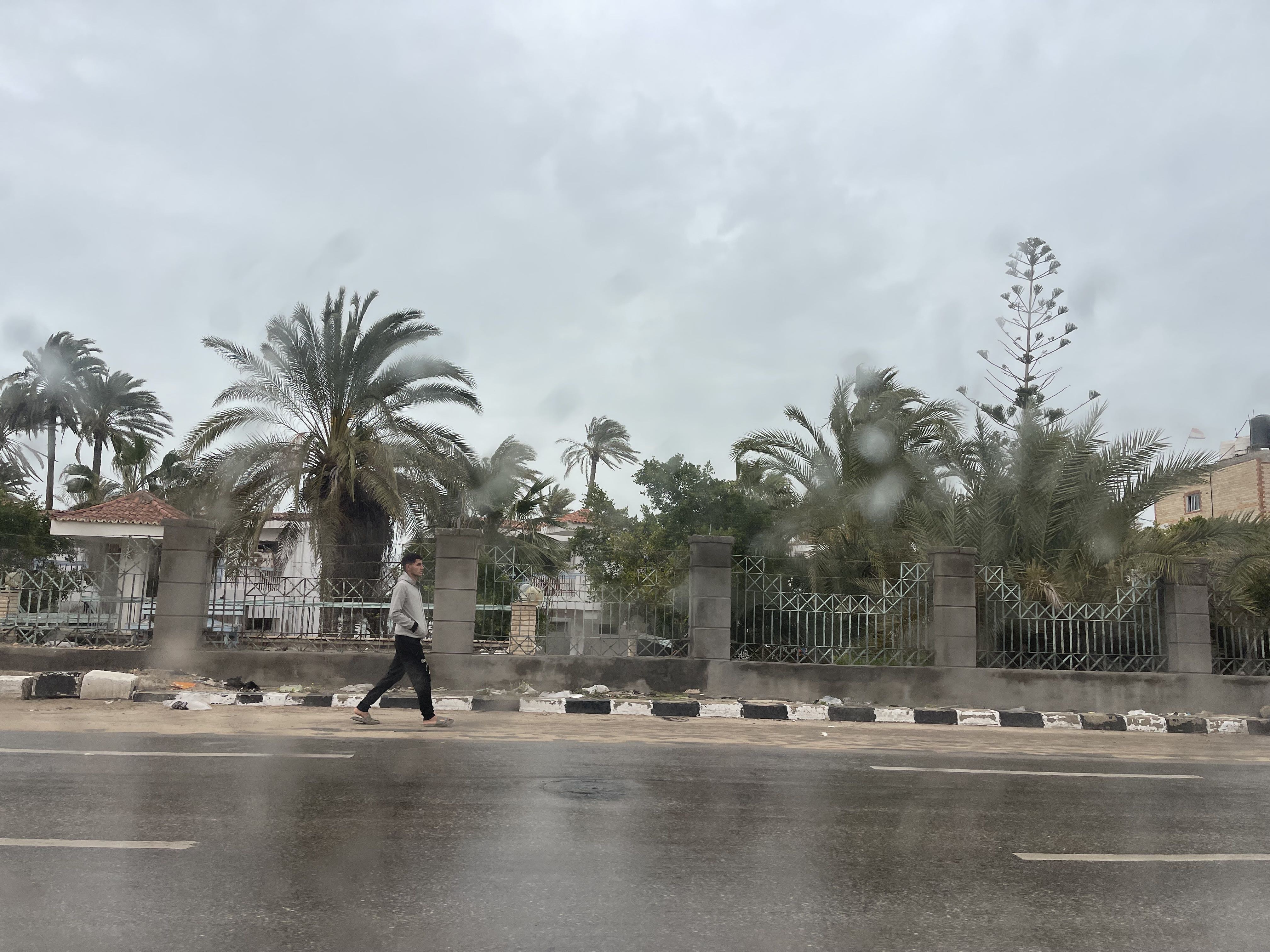 مدينة العريش 