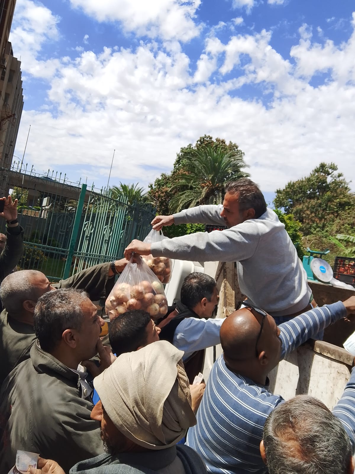 نقابة تجميل الجيزة توفر خضراوات بأسعار الجملة