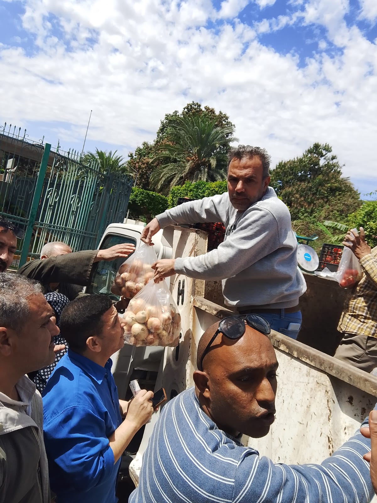 نقابة تجميل الجيزة توفر خضراوات بأسعار الجملة