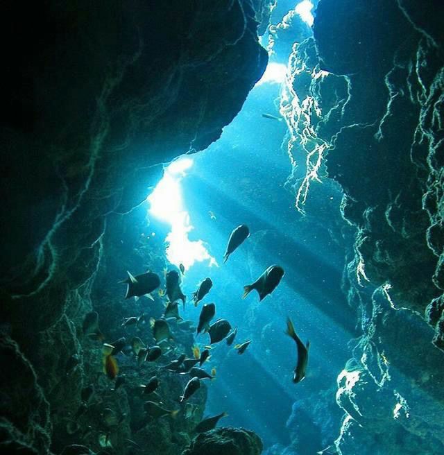 66231-كهوف-وبرجين-كارلوس-ريف 66231-كهوف-وبرجين-كارلوس-ريف