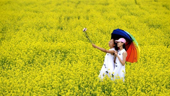 التقاط الصور التذكارية وسط الحقول