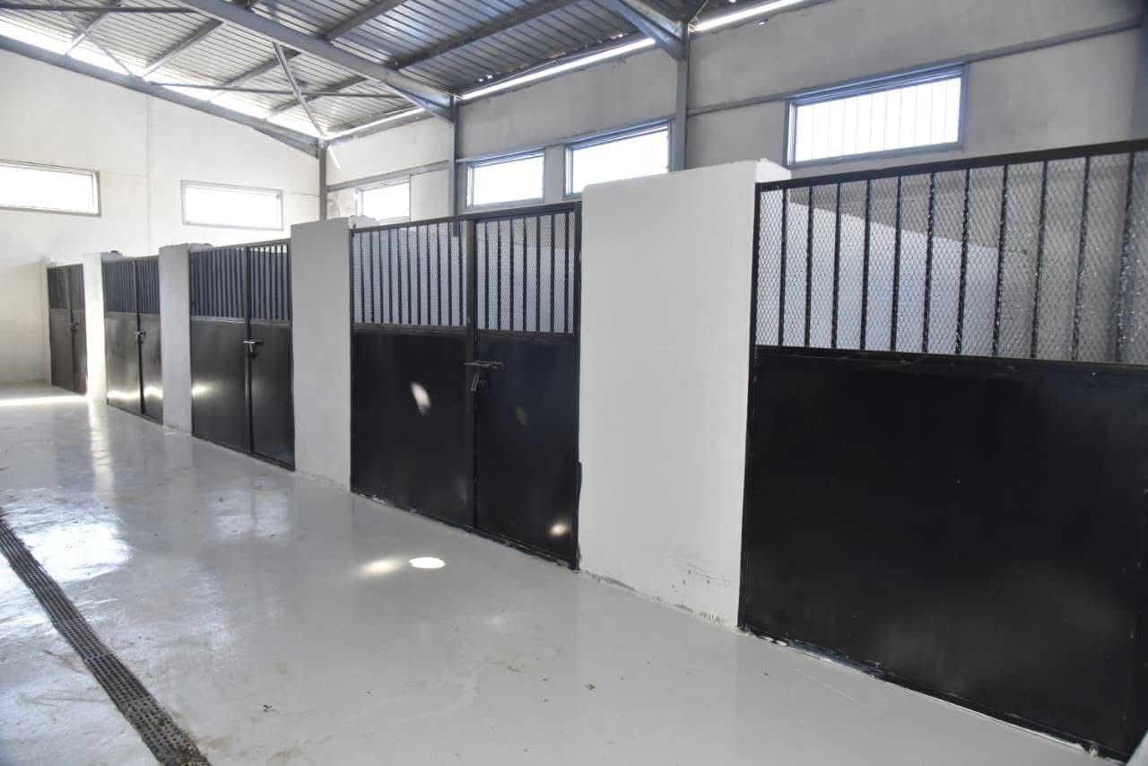 شلتر الكلاب شلتر الكلاب