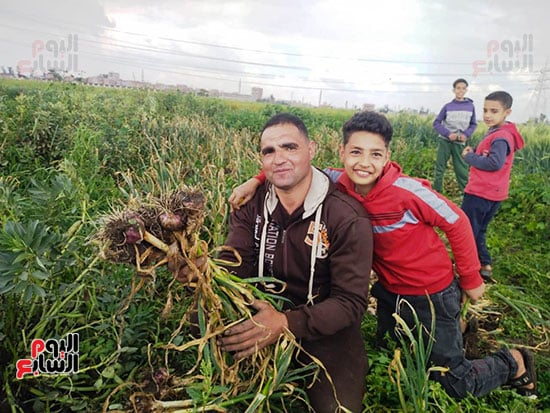 الفرحة-بحصاد-المحصول