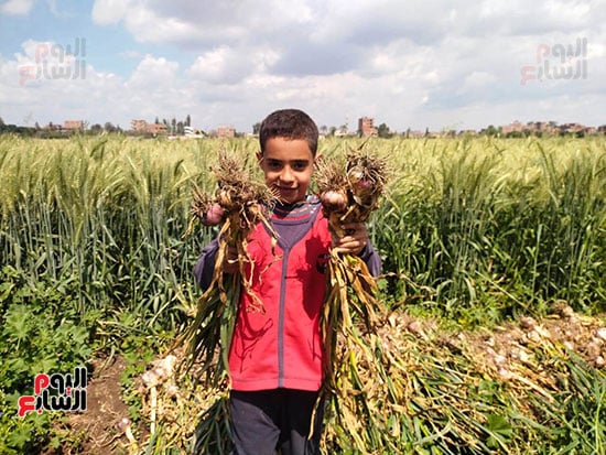 طفل-يحمل-الثوم_1