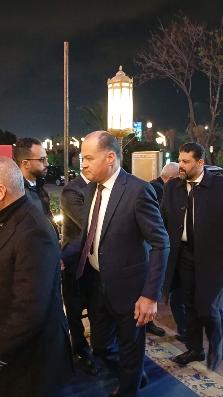 نشأت الديهى (2)